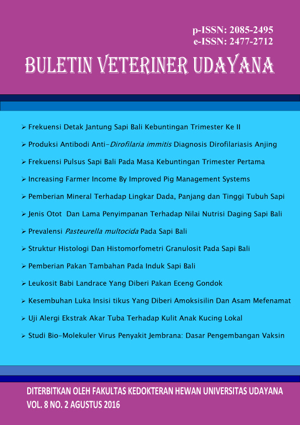 The Supplementary Feeding Effect In Bali Cattle To Calf Length